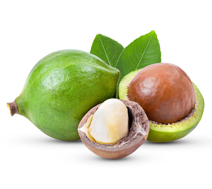 نهال ماکادمیا